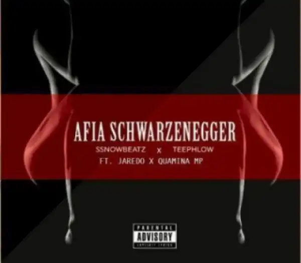 Ssnowbeatz - Afia Schwarzenegger (Remix) Ft. Teephlow, Jaredo & Quamina MP